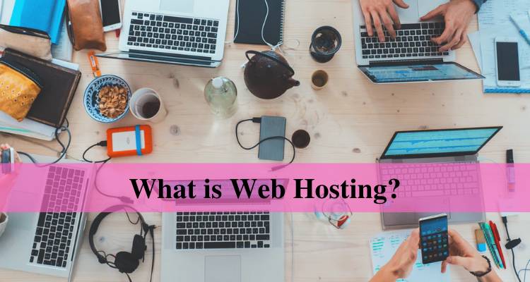 Web Hosting