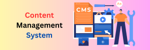 Content Management System